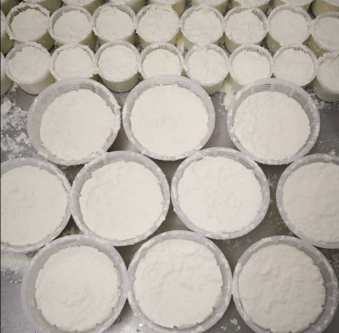verse ricotta di bufala DOP